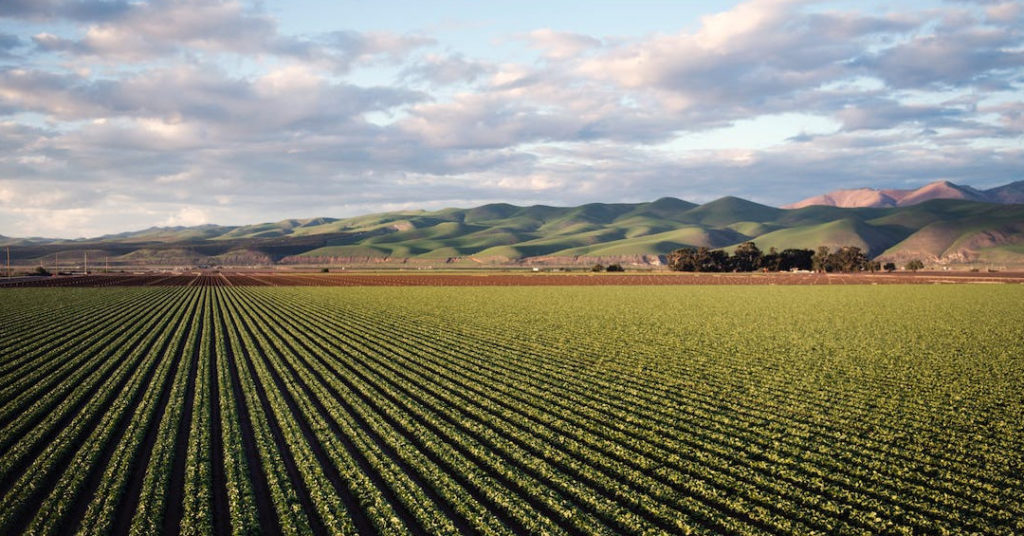 apporta-per-azienda-agricola